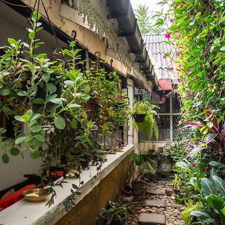 Kandy Inn Madugalle'S Family Guest House Zewnętrze zdjęcie