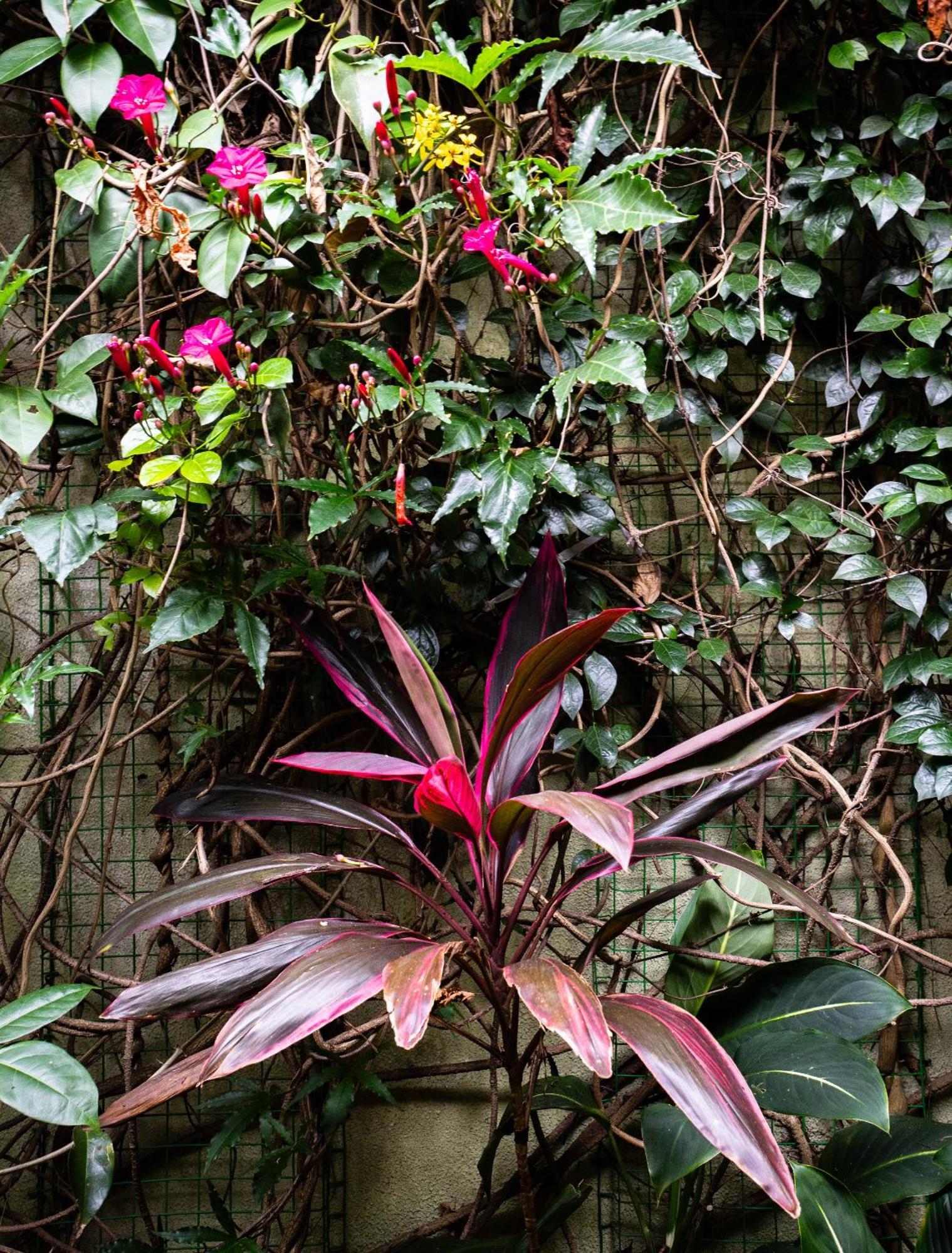 Kandy Inn Madugalle'S Family Guest House Zewnętrze zdjęcie