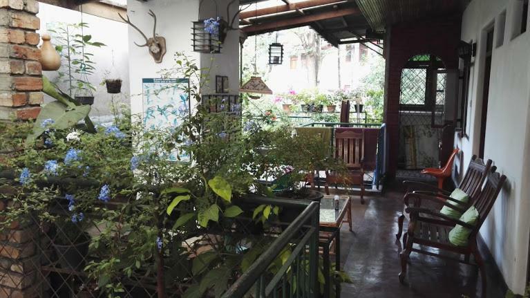 Kandy Inn Madugalle'S Family Guest House Zewnętrze zdjęcie